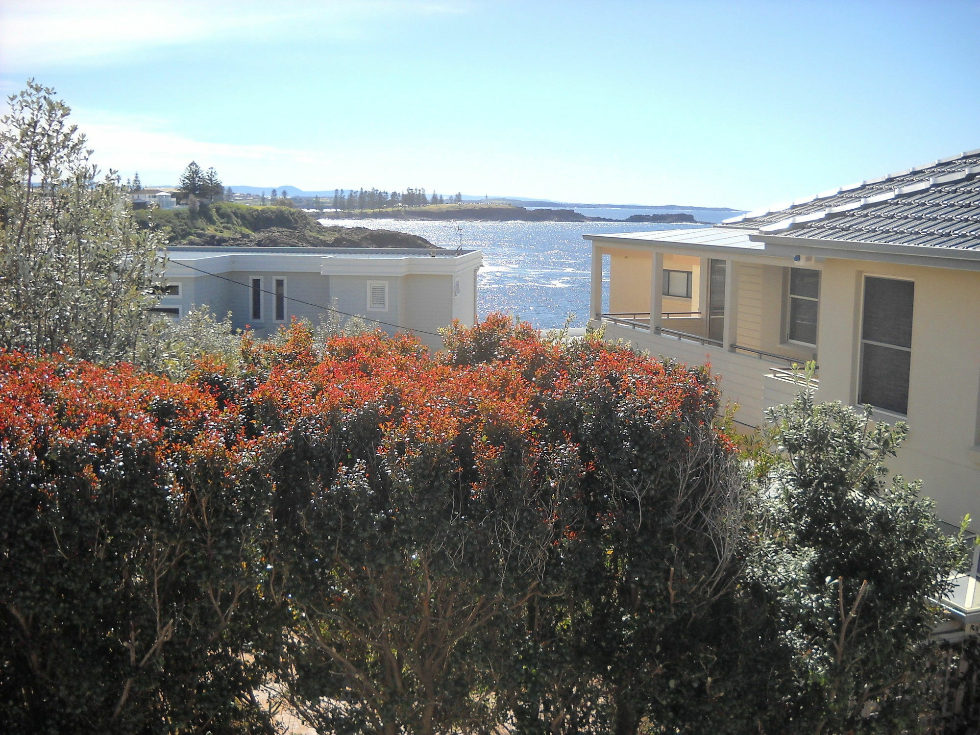 Shutters By The Sea Kiama-Sea Views-Waterfront-Private On Coastal Walk Eksteriør bilde